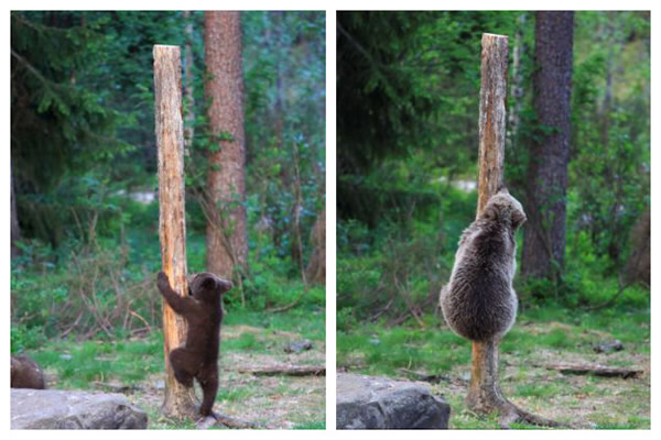 ���������հ���˹������������̱�������