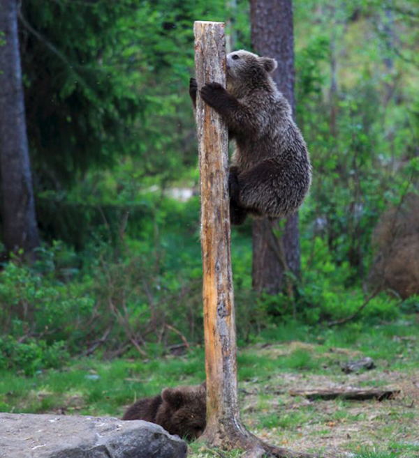 ���������հ���˹������������̱�������