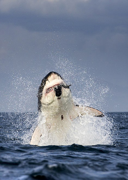 �Ϸǿ��նظ����ĺ����������Ծ��ˮ����ʳ����