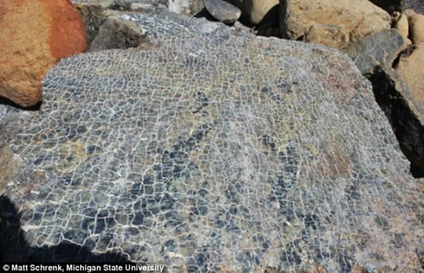 这种蛇纹岩能够自然产生氢气,在一定压力下,当水与橄榄石矿物质发生反应,岩石吸收水中氧原子转变橄榄石为蛇纹石,复杂的龟裂结构为地下微生物种群提供栖息地。