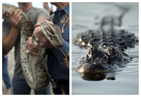 ������������ݹ��ҹ�԰���ɳ������������Ʒ����ֵ��������