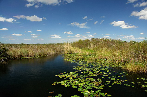 ������������ݹ��ҹ�԰���ɳ������������Ʒ����ֵ��������