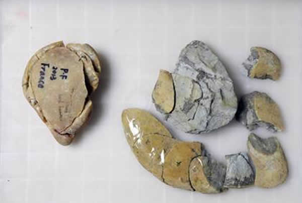 ʯ��ģ�����