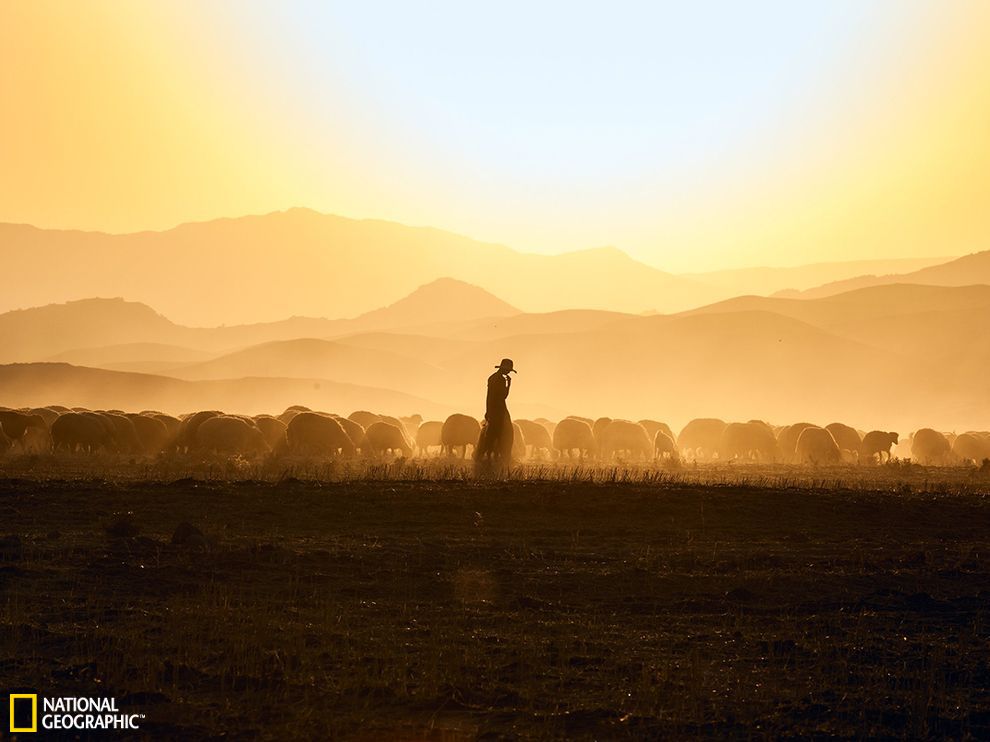 ������һλ�����˺�������Ⱥ