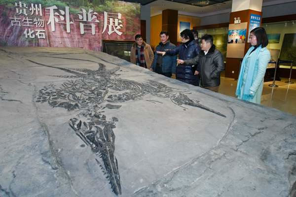 ���ݹ����ﻯʯ����չ�ڹ��������Ļ�����ʽ��չ