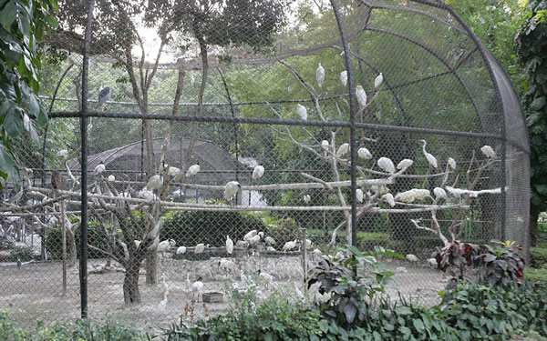 ӡ���������Ƕ���԰150��ֻ���ɱ�����һ��������