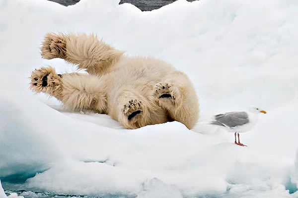 �����������٤��