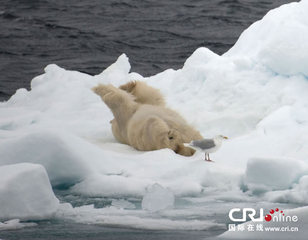 �����������٤��