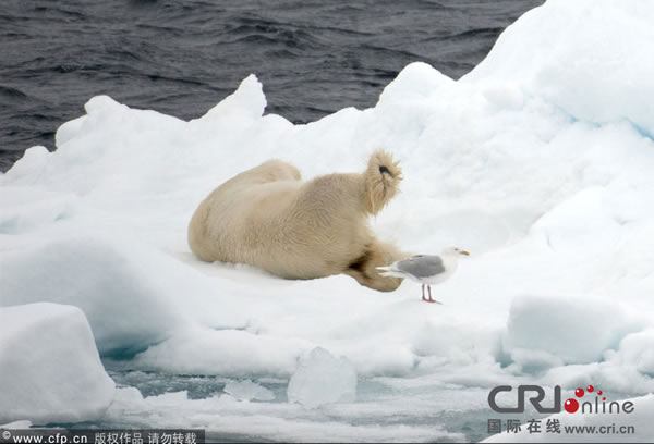 �����������٤��