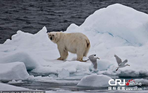 �����������٤��