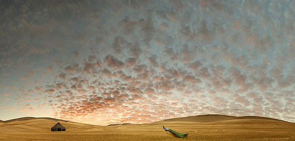 ������ʢ������¬˹��ԭ����