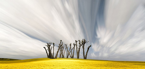 ������ʢ������¬˹��ԭ����