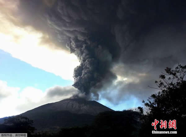 �����߶ණ����ʥ�׸����ɽ�緢