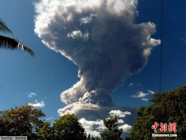 �����߶ණ����ʥ�׸����ɽ�緢