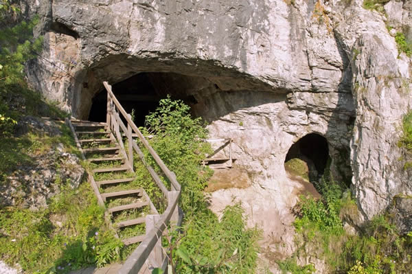 在西伯利亚南部丹尼索瓦洞发现的女性尼安德特人的脚趾骨，也是在同一地方首次发现了丹尼索瓦人的迹象，后者是相对较新发现的人类血系。