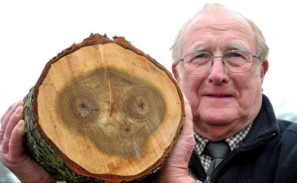 Ӣ�����귢���������ɵ����ֿ���������ET����