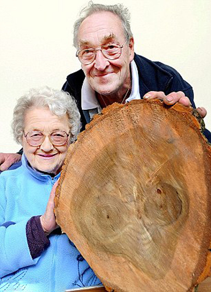 Ӣ�����귢���������ɵ����ֿ���������ET����