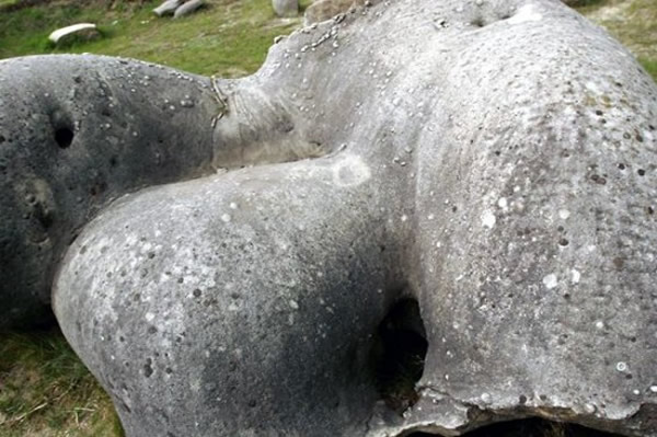 ��������һ�ֽ�Trovant������ʯͷ����ᡰ��׳������