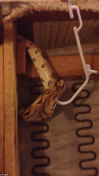 �������¼���ɳ���������²�֪�ڲ�1�׳�����