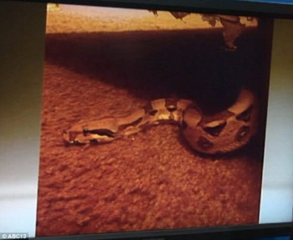 �������¼���ɳ���������²�֪�ڲ�1�׳�����