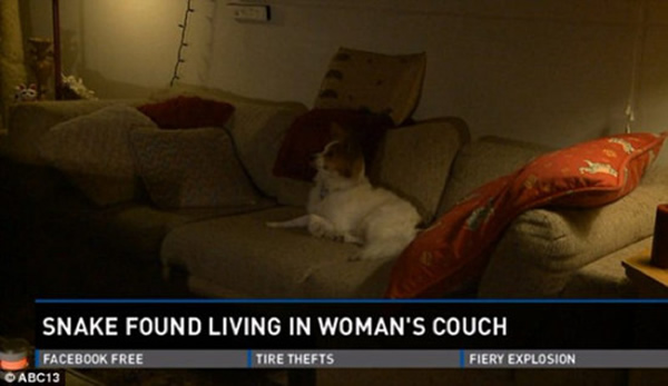 �������¼���ɳ���������²�֪�ڲ�1�׳�����