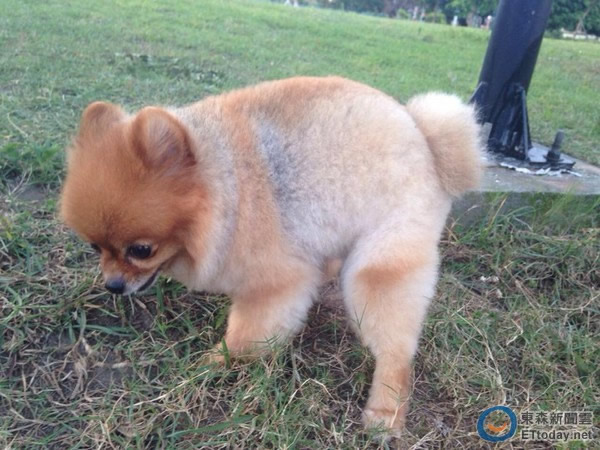 �ݿ˿�ѧ�ң�����ش�С�������Ϊ����ų�