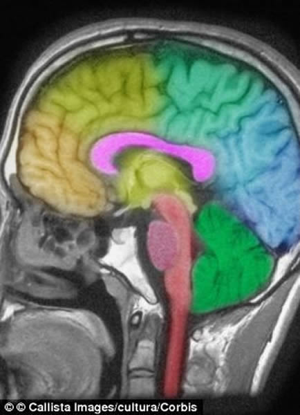 ʧ�߶Դ�����ɵ��˺�������ͷ�����˲�����Ӱ�죬��ʹ�����ں��������йصĻ�ѧ���ʾ�����