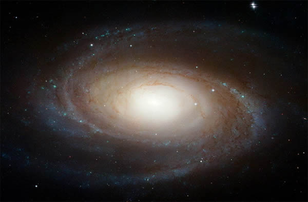 M81������ϵ