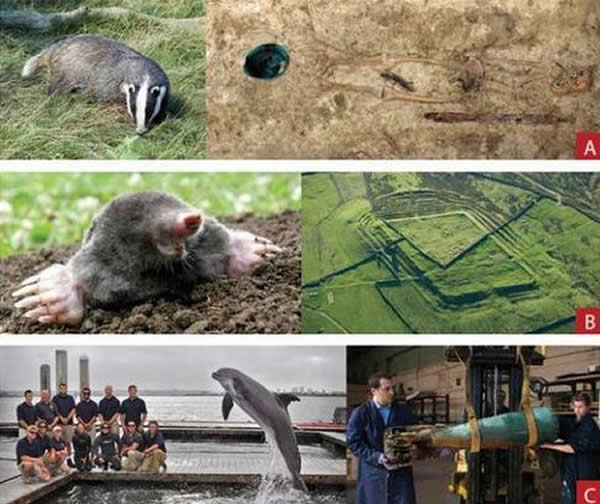 С飨¹ʩж꣬Ӣǿ ʥǸ磩