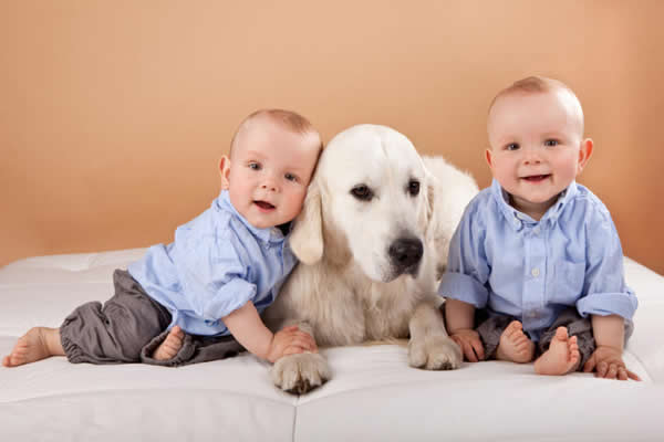 婴幼儿接触狗和家畜可以减少将来患过敏和哮喘