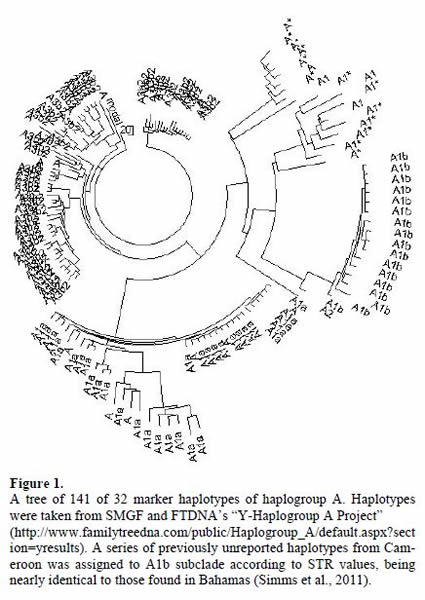 美国DNA谱系科学院认为人类并非起源于非洲
