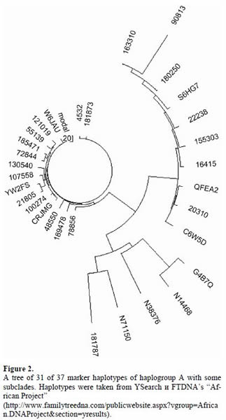 美国DNA谱系科学院认为人类并非起源于非洲