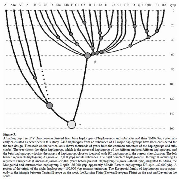 美国DNA谱系科学院认为人类并非起源于非洲