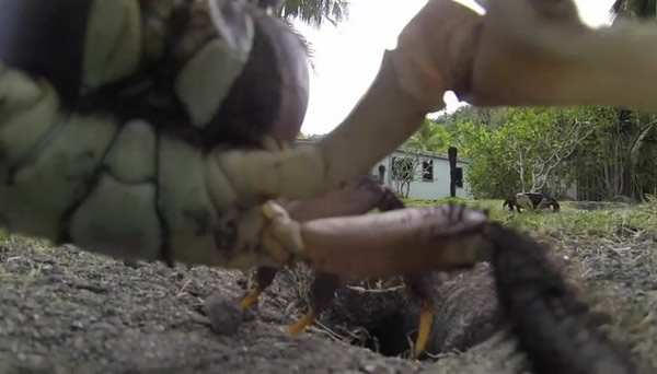 �з͵����Ӱ��