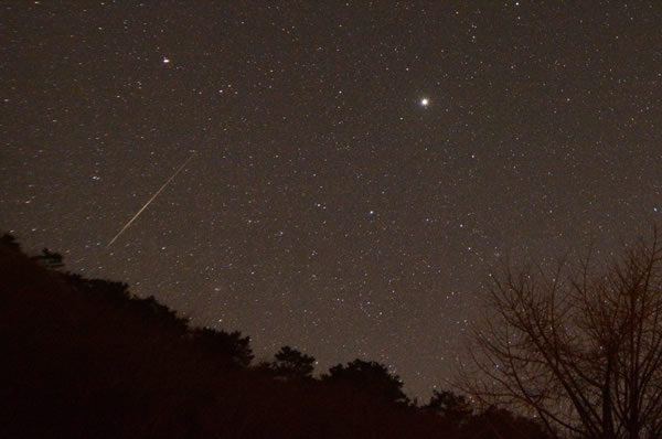 2014���׳������꣺��������������ٵ���