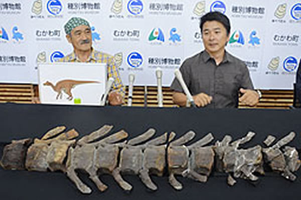 7月 北海道鹉川町(むかわ町)发现(完整的?)恐龙化石