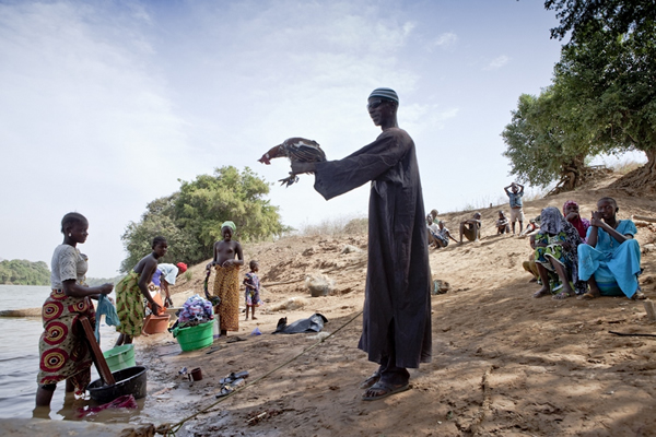 在Perais Tenda村庄里的一位男子,想把鸡卖给正在冈比亚河里洗衣服的妇女。