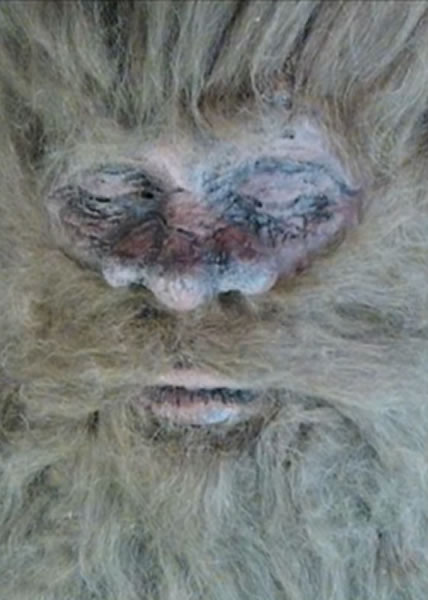 英国一名猎人声称自己杀死一只大脚怪