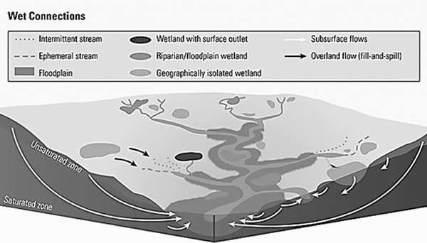 ��һ��������������Ĺ涨�У�EPA�Ŀ�ѧ����Ϊ�����಻ͬ�����ˮ��֮�������������ѧ��������ϵ��