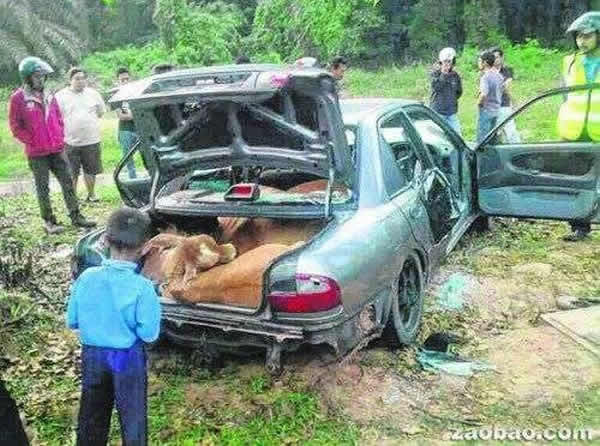 ��������͵ţ�����γ�������4ͷţ