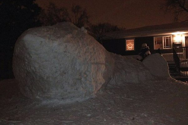 美国明尼苏达州的兄弟三人在前院堆起5米高鲨鱼雪雕
