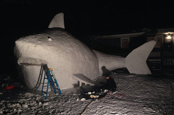 美国明尼苏达州的兄弟三人在前院堆起5米高鲨鱼雪雕