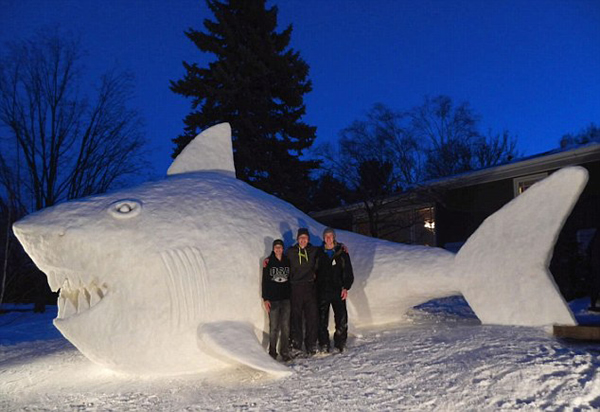 美国明尼苏达州的兄弟三人在前院堆起5米高鲨鱼雪雕