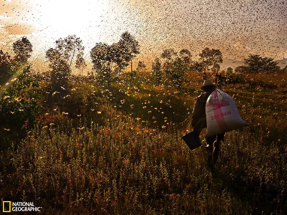 �����˹������ȳ�