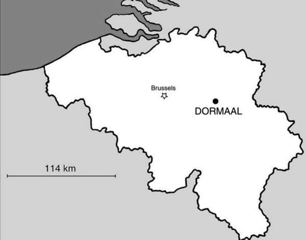 比利时5500万年前树栖哺乳动物化石揭示猫狗共同祖先