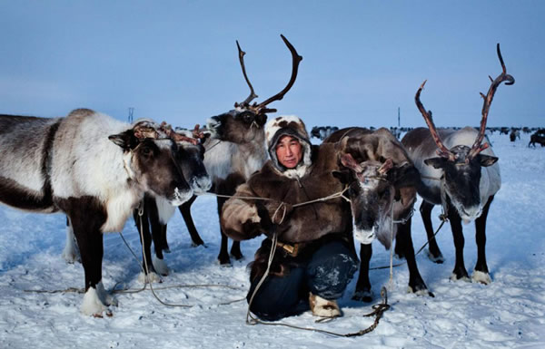 俄罗斯北部楚科特苔原区域一支原住游牧民部落