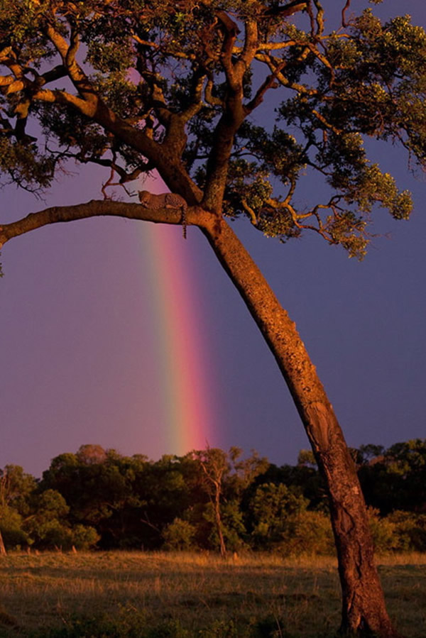 �����ǵĲʺ�