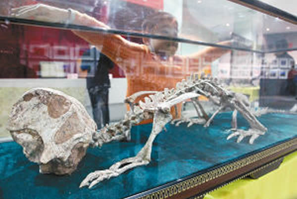 164�����ʯ�걾����������Ȼ�����