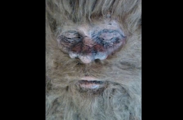 New Bigfoot Claim, Old Bigfoot Hoaxer