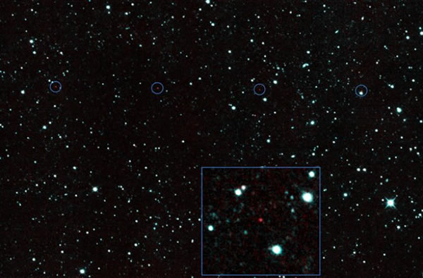Thar she goes: NEOWISE images of the newly-discovered near-Earth asteroid 2013 Y